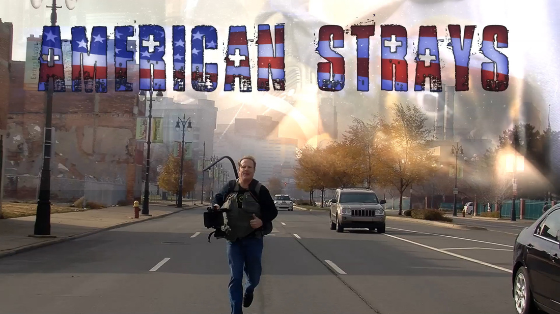 American Strays the series
